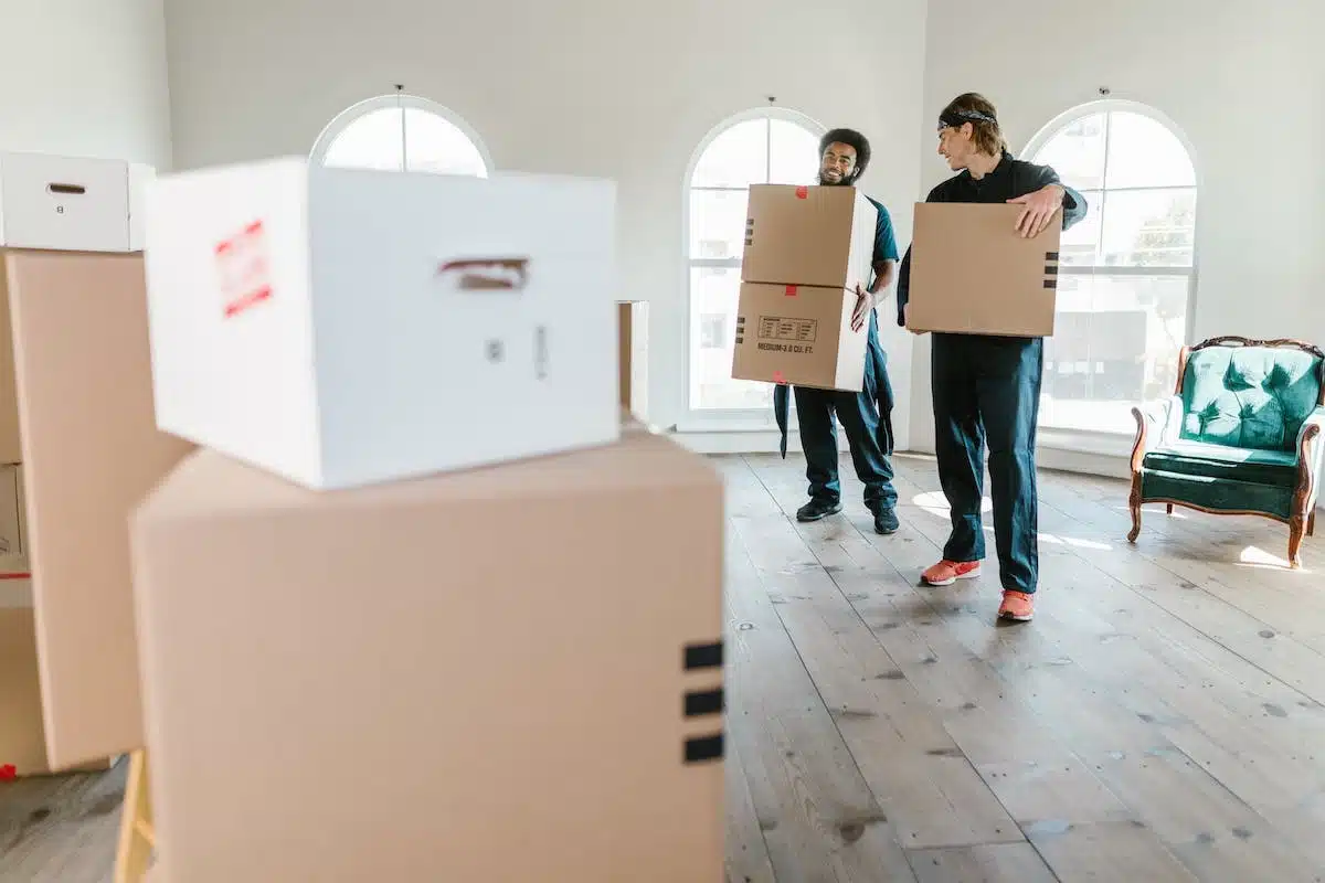 déménagement  paperasse