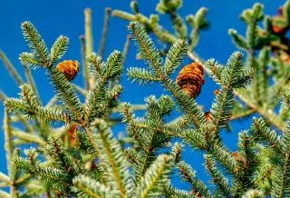 Comment choisir son salon de jardin en résine tressée ?