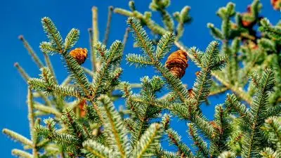 Comment choisir son salon de jardin en résine tressée ?