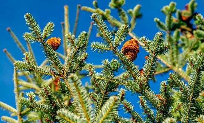 Comment choisir son salon de jardin en résine tressée ?