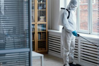 Dératisation à Chambéry : pourquoi choisir des professionnels pour éliminer les nuisibles ?