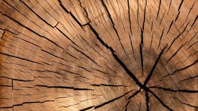 Les classes d'emploi du bois : qu'est-ce que c'est ?